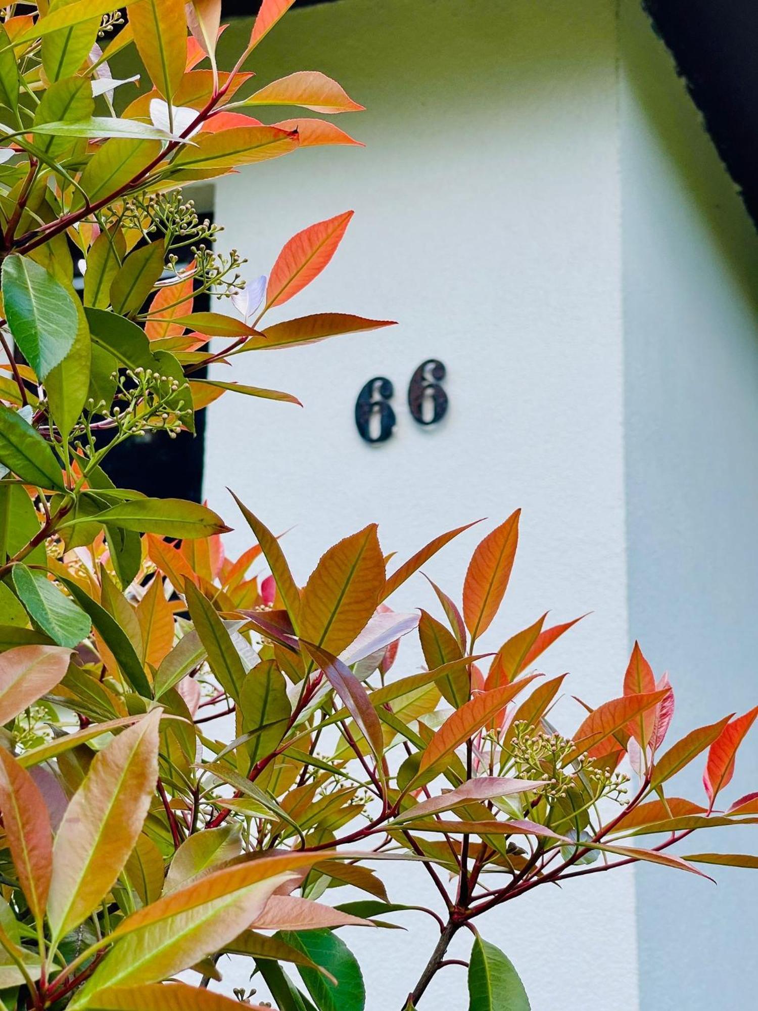 Ferienhaus Fuxbau Wohlau Εξωτερικό φωτογραφία